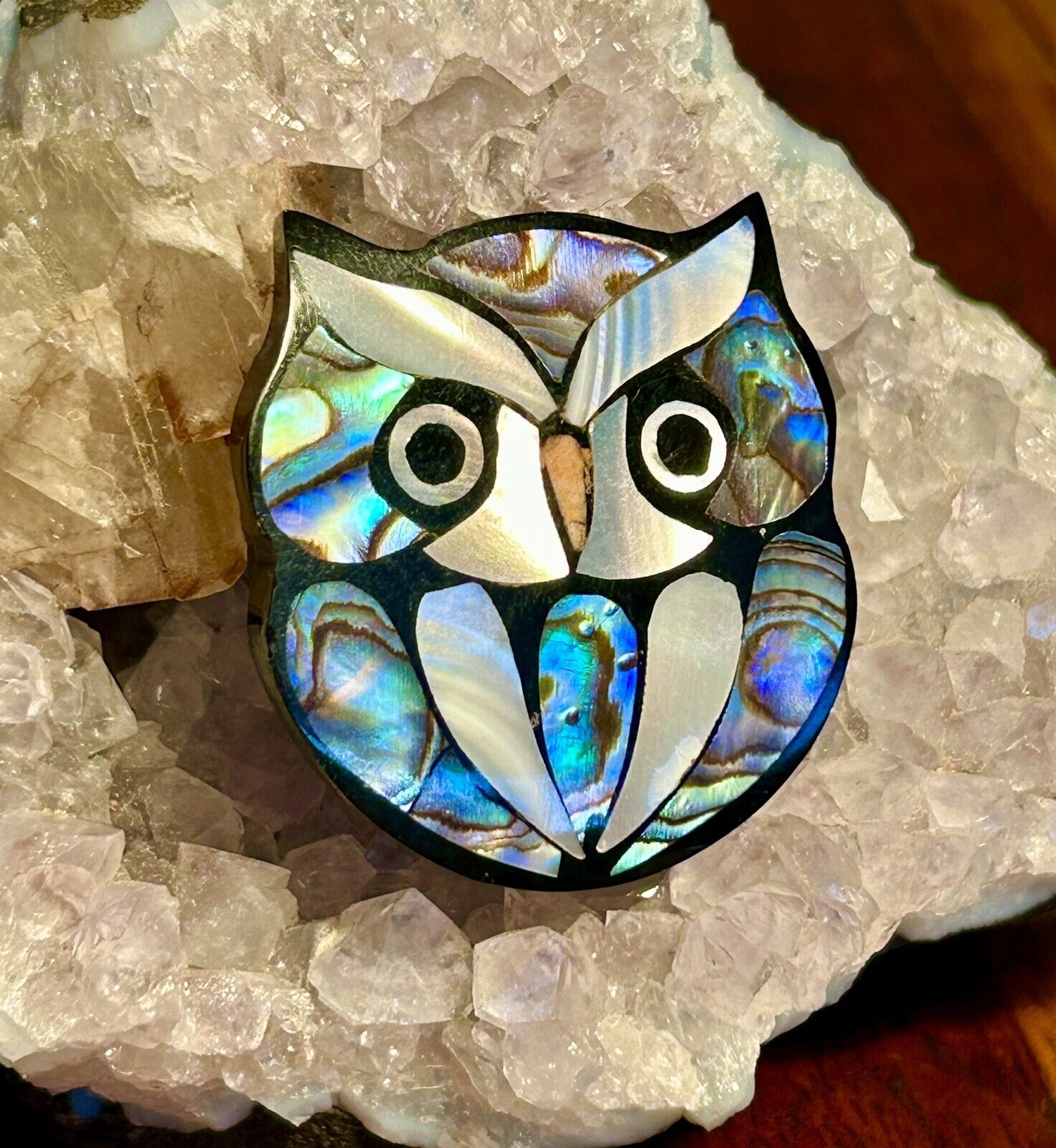 Vintage Mother Of Pearl Owl Brooch Retro Jewelry … - image 1