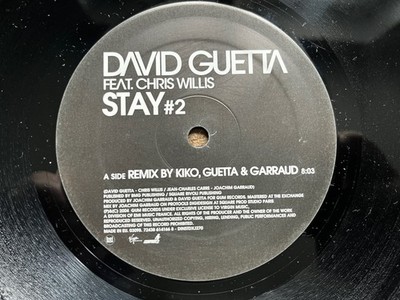 David Guetta feat. Chris Willis - Stay 2 (House, Electro, Club)