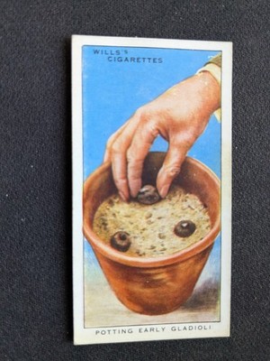 1938 Wills Garden Hints Card # 25 Potting Early Gladioli (EX)