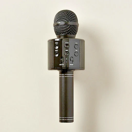 Wireless microphone with built in speaker cheap