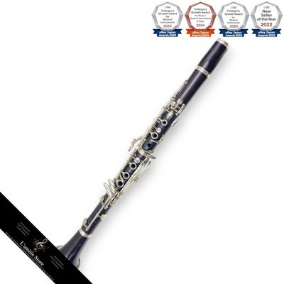 Buffet Crampon R13 Klarinettenmundstück Musikinstrument