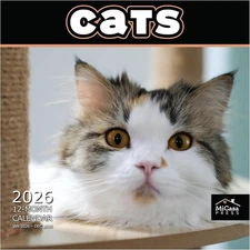 MICASA Cats 2026 Wall Calendar, 12-Month, 12x24", Giftable, Thick & Sturdy Paper