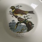 Picture 5 of 11