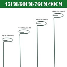 Green Metal Orchid Rose Single Stem Stakes Spiral Plant Supports Flower Plant