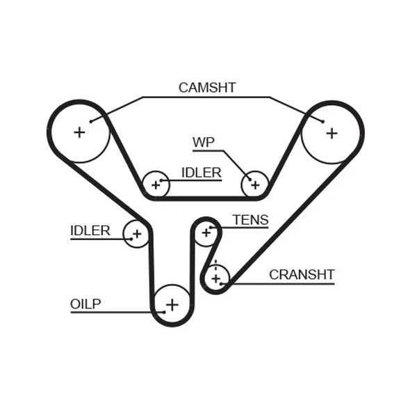 TIMING BELT 5518XS FOR AUDI 100 V8 500 A6/S6 A8/S8 AEW/AKJ 3.7L PT 3.6L 8cyl A8 - Image 2 of 4