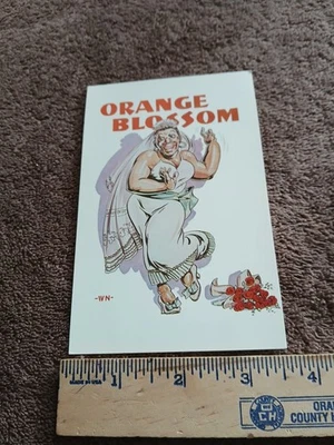 Orange Blossom Humor Postcard – Walter Nichols – Dexter Press – Unposted - image 1 of 2