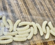 Soft Plastic Wax Worms