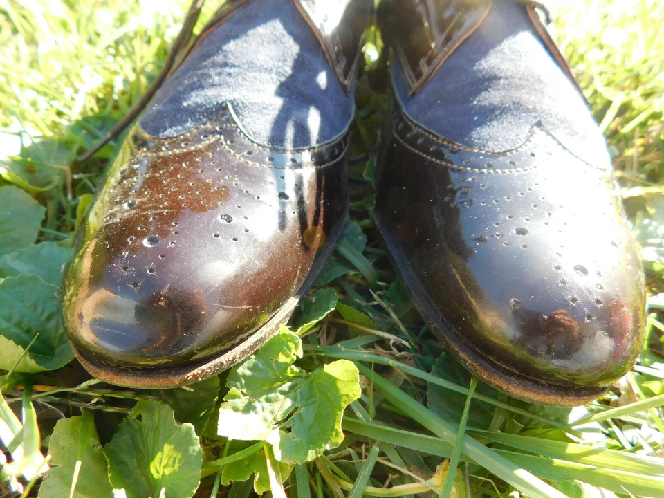 Studio Pollini Negro Charol Azul Gamuza Punta de Ala Cuero Corbata Elegante Oxford talla 7.5 Foto 3 de 4