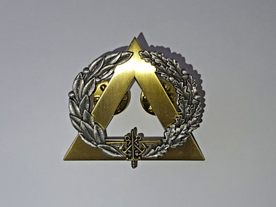 Insigne sur cuir Chef de centre Pompier étoile bronze Insigne sur cuir Chef de centre Pompier étoile bronze