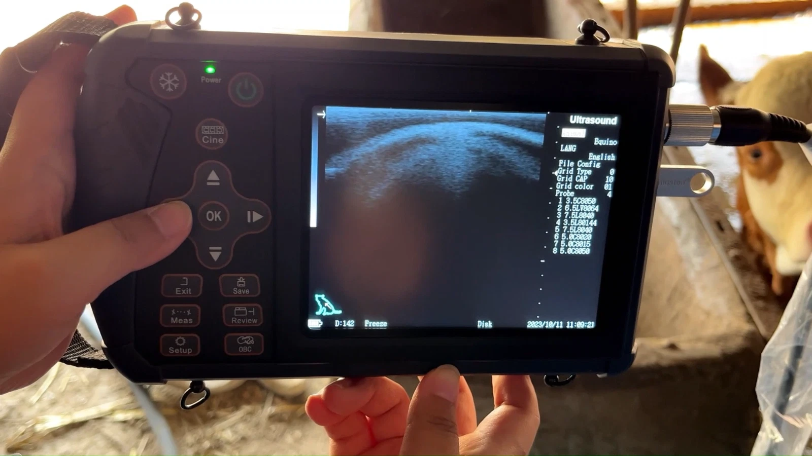 Tragbarer Veterinär Ultraschall Scanner für Schwangerschaft Schwein Schaf Hund - Video 1 von 1