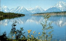 Jackson Lake and Teton Mountains Reflection, Teton National Park, Postcard