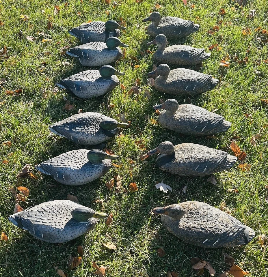 Antigo Sport Plast Duck Decoys Raro Vendedor Amostra Lote 12 Fabricado na Itália - Imagem 2 de 4