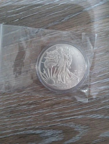 2024 Silver Eagle $1 Coin 1oz .999 Fine BU Walking Liberty