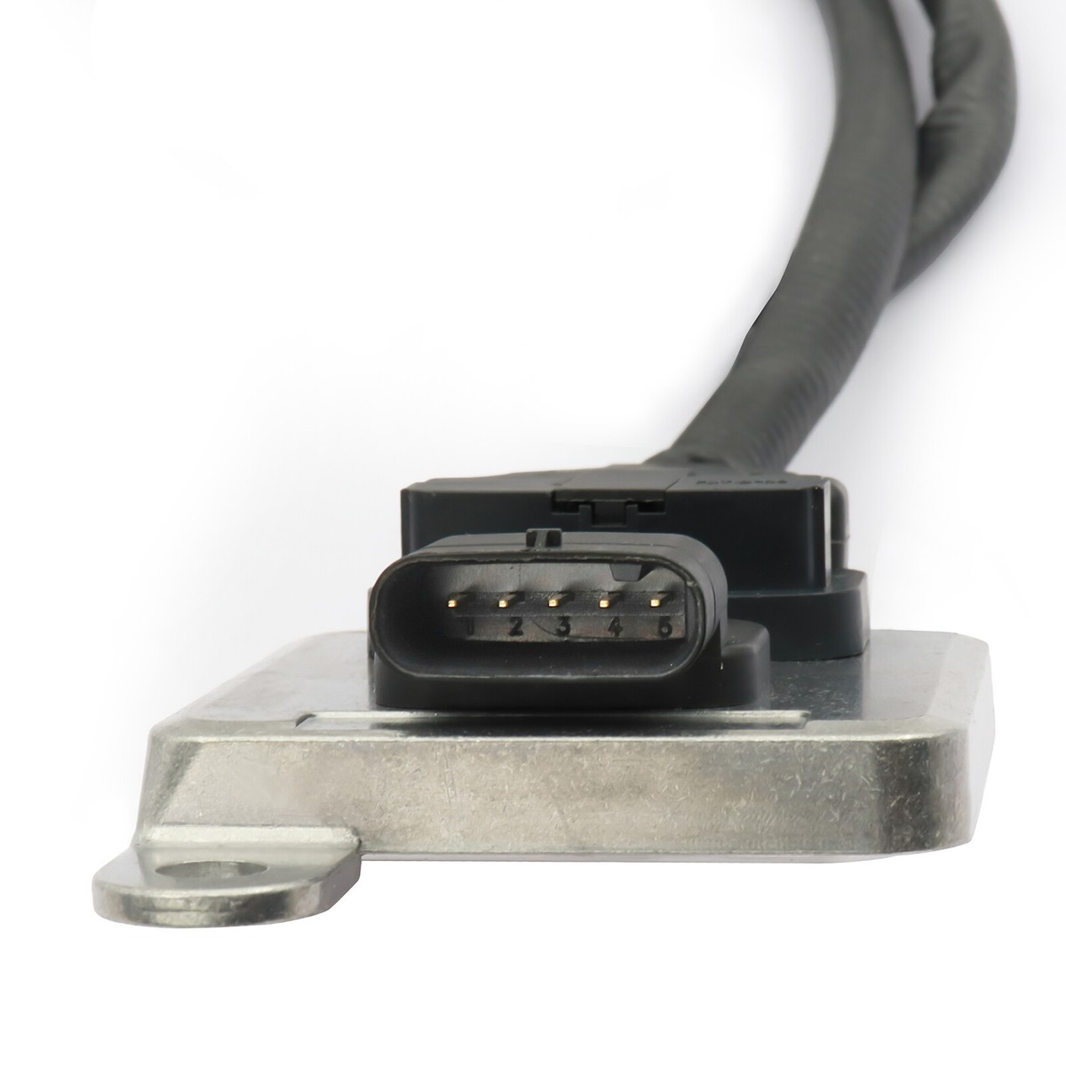 ミッチェル様専用