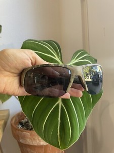 Bimini Bay Mossy Oak Polarized Camo Sunglasses MO-BB103-BS