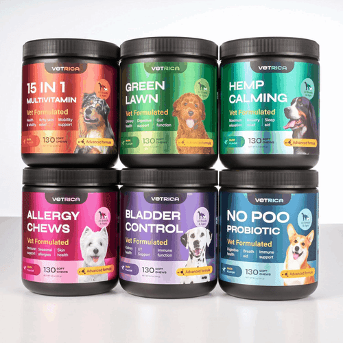 Calming Chews for Dogs Anxiety Relief Hemp Calming Chews for Dogs with - Picture 8 of 9