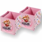 Nickelodeon Paw Patrol - Pink Collapsible Storage Bins 2 Pack - Skye  NEW