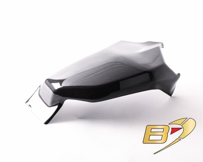 2018 - 2023 Ducati Panigale V4 / V4S Carbon Fiber Swingarm Protector Fairing
