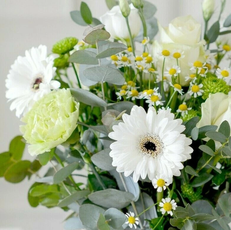 Daisy Flower Arrangement Delivery Best Flower Site
