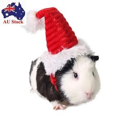 Cotton Rabbit Withscarf Christmas Costume  Chinchilla