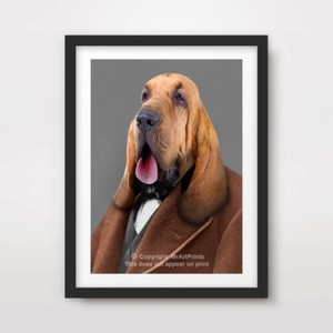 funny bloodhound