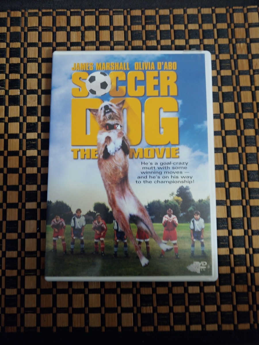 その他 Winning Soccer: Passing Receiving &amp; Heading [DVD] 15ed3ad0-5331-4637-9ea7-