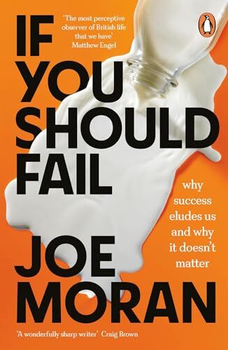 If You Should Fail: Why Success Eludes Us and Why It Doesn't Matter by Joe... - Image 3