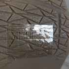 Picture 8 of 11