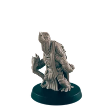 Turtlefolk Old Sage - Everyday Folk - Mini - EC3D - - Dungeons & Dragons - RPG -