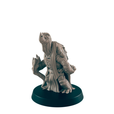 Turtlefolk Old Sage - Everyday Folk - Mini - EC3D - - Dungeons & Dragons - RPG -
