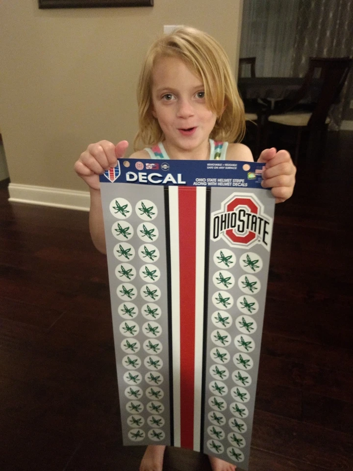 OHIO STATE BUCKEYES 54 PIECE DECALS HELMET STRIPE LOGO LEAF 9.5"X20.5" SHEET OSU - Image 4 of 4