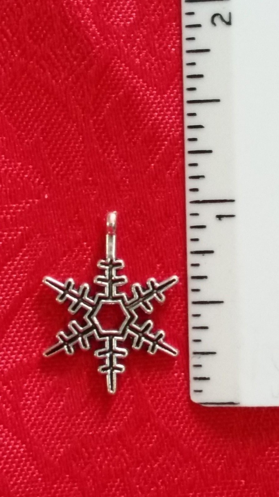 Picture 5 of 19