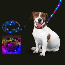light up dog leash