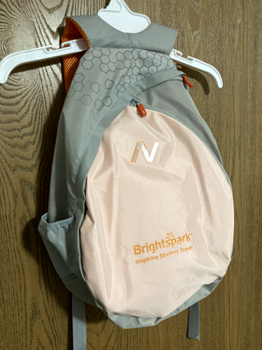 Zaino New Balance Minimus Commuter rosa corallo/arancione/argento con tasca per laptop - Foto 5 di 24