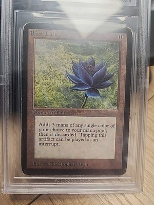yugioh aquaactress cards Aquaactress