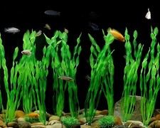 Artificial Seaweed Water Plants for Aquarium, Plastic Fish Tank Plant Decorat...