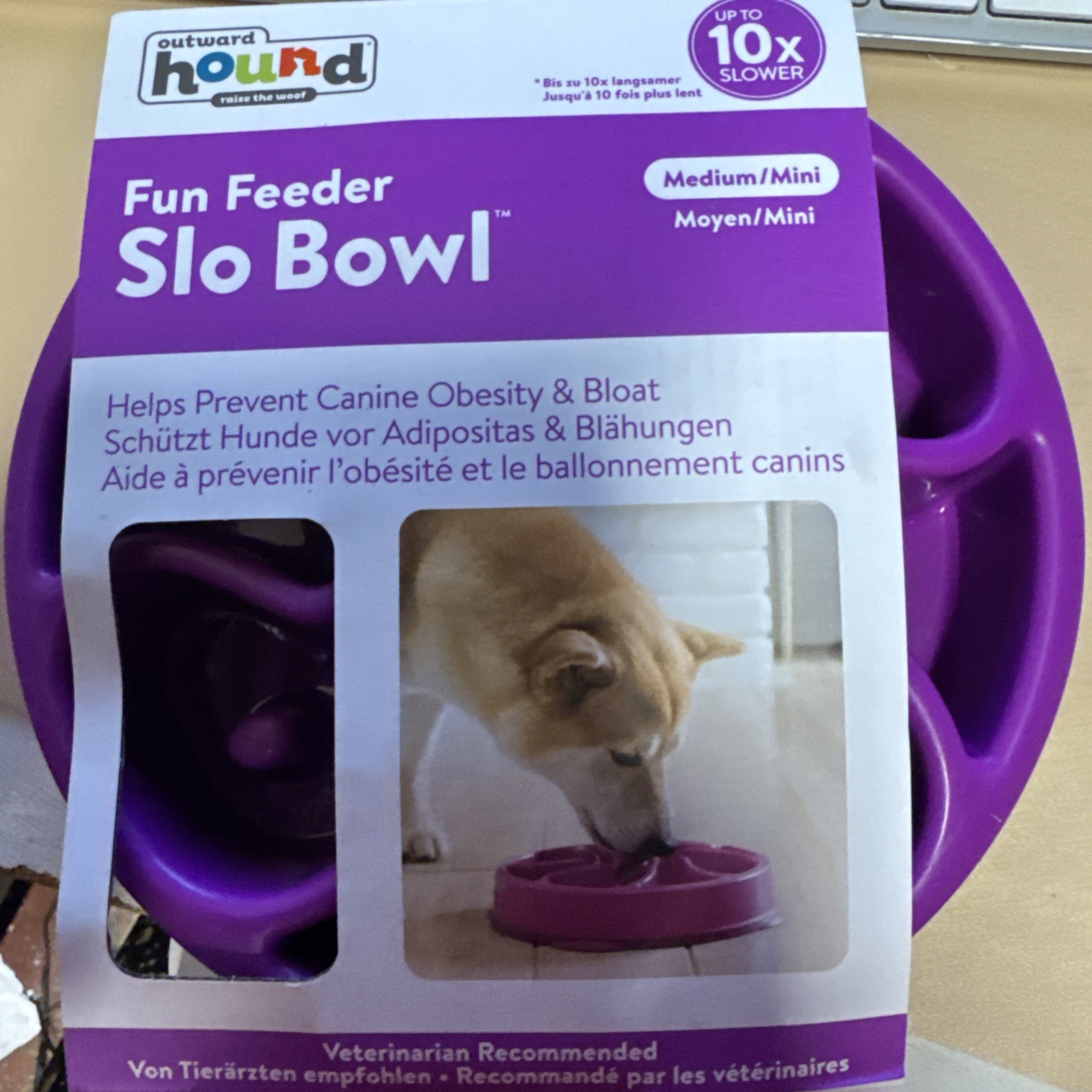 Outward Hound Slow Feeder Dog Bowl - Makes Meal Time Fun, Slows Down Eating,
