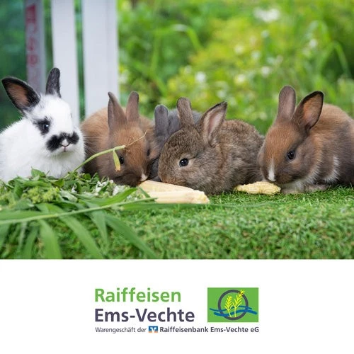 Kaninchenfutter Müsli Nagerfutter Müsli Evita 20kg Müslifutter für Nager - Bild 3 von 4