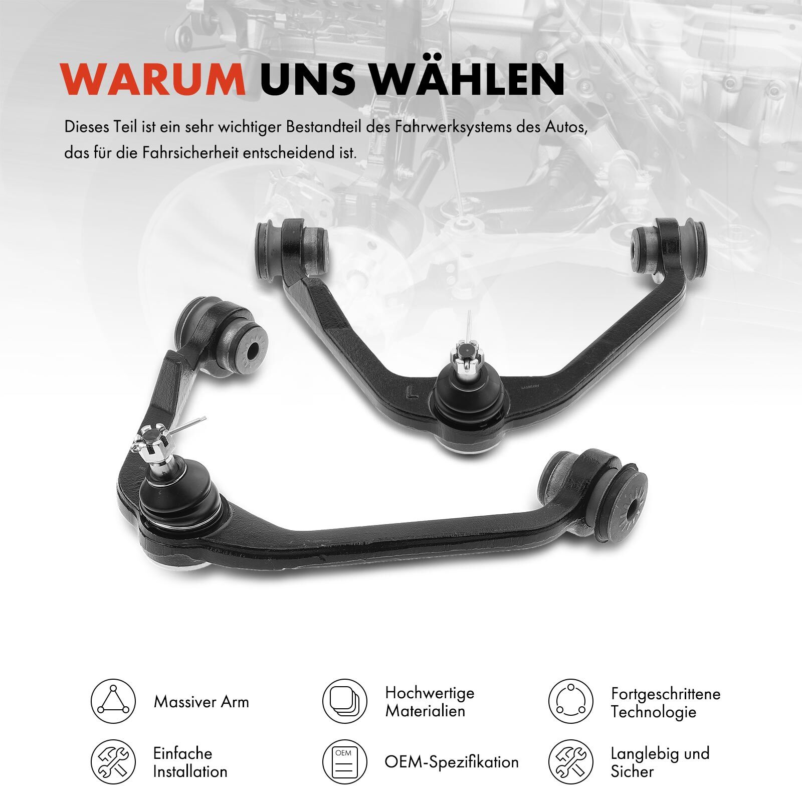 Bild 7 von 8