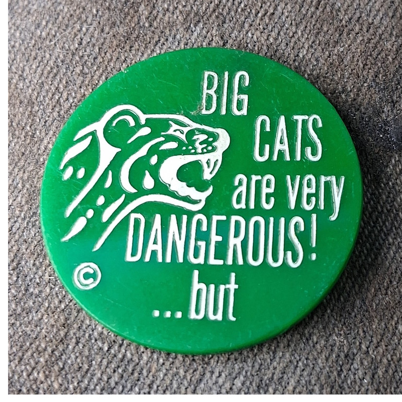 Humorous Cat-Themed Pinback Button Set - 'Big Cats are Dangerous'