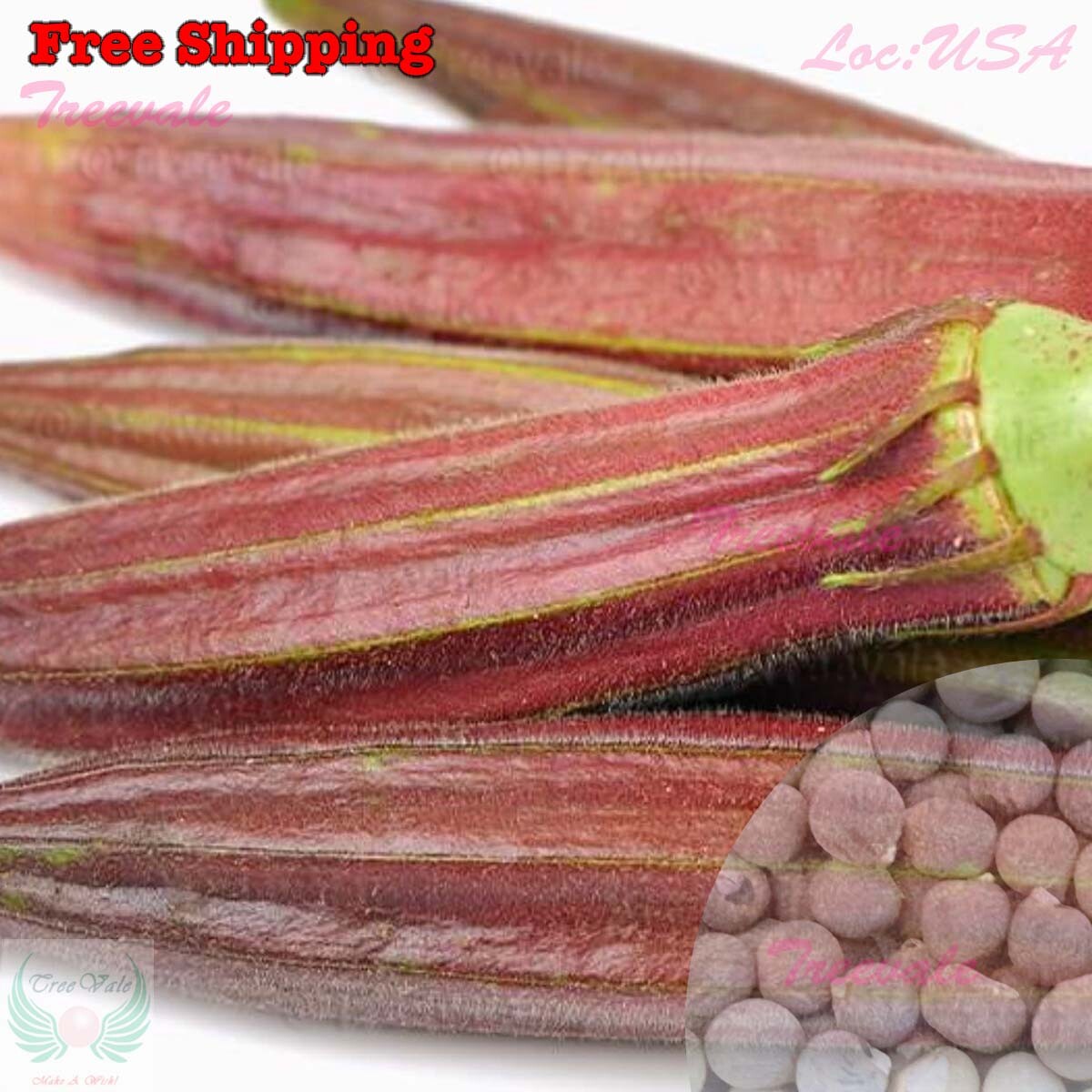 Red Burgundy Okra Seeds Red Velvet Okra, Royal Burgundy Okra, Okra