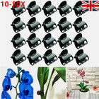 10-50X Plant Support Clips Gardening Phalaenopsis Orchid Plant Support Plastic -