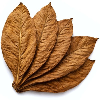 Burley Tennessee Tabakblätter Tabak Tobacco Natur Rohtabak Premiumqualität