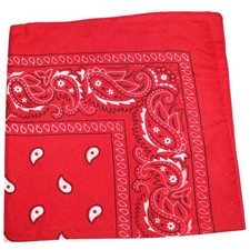 Paisley 100 Polyester Unisex Bandanas 2 Pack Headwrap Scarf Handkerchief