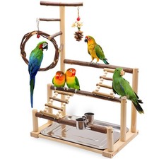 Bird Playground, Natural Wooden Parrot Stand Suitable for Small and Medium Bi...