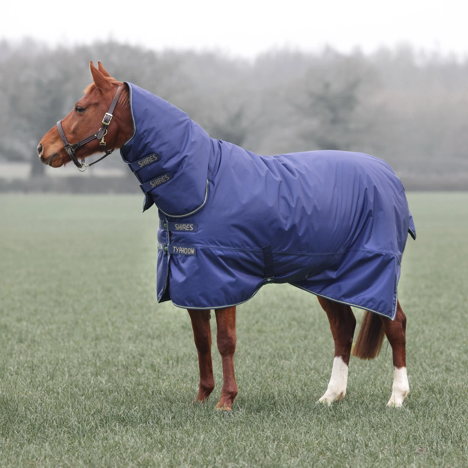 LIGHT WEIGHT TURNOUT RUG Shires Typhoon 0g No Fill Full Neck Waterproof Combo
