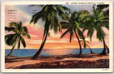 Florida FL, 1936 Tropical Sunset Scene, Palm Trees on Sandy Beach Ocean Postcard