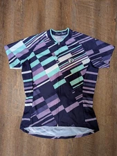 Pearl Izumi Cycling Jersey Women Large Block Stripe Blackberry Purple Full Zip