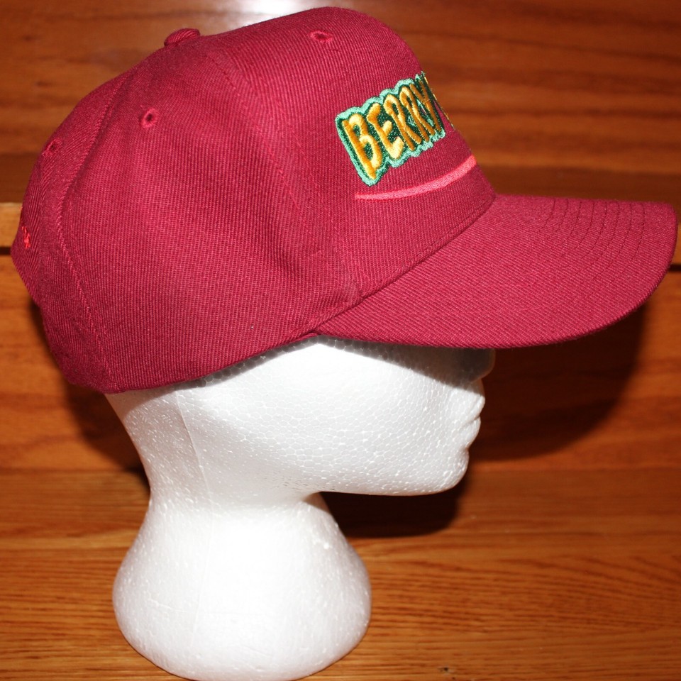 vintage BERRY BOWL baseball cap Nissin trucker hat Watsonville Berry Co