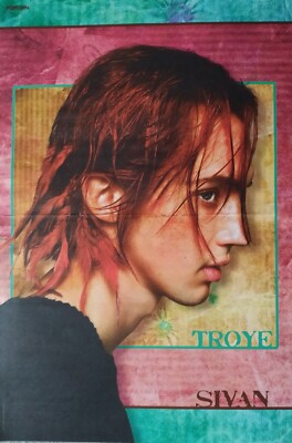 TROYE SIVAN - A3 Poster (42x28cm) - Clippings MERCH Fan Sammlung German Magazine